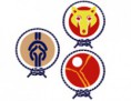 Insignias de Rama (Manada, Tropa y Clan)